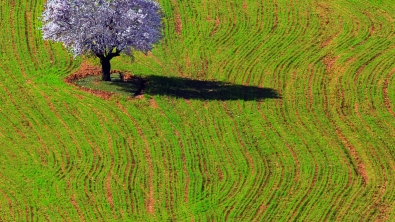 Fotoğraflar