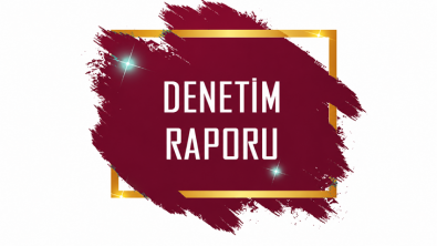 T.C. İÇİŞLERİ BAKANLIĞI MAHALİ İDARELER KONTROLÖRLÜĞÜ 2026 YILI DENETİM RAPORU