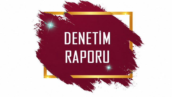T.C. İÇİŞLERİ BAKANLIĞI MAHALİ İDARELER KONTROLÖRLÜĞÜ 2024-2026 YILLARI ARASI DENETİM RAPORU
