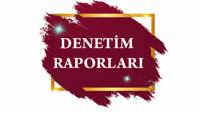 Denetim Raporları