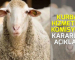 2025 YILI PERTEK KAYMAKAMLIĞI KURBAN HİZMETLERİ KOMİSYONU KARARLARI