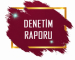 T.C. İÇİŞLERİ BAKANLIĞI MAHALİ İDARELER KONTROLÖRLÜĞÜ 2024-2026 YILLARI ARASI DENETİM RAPORU